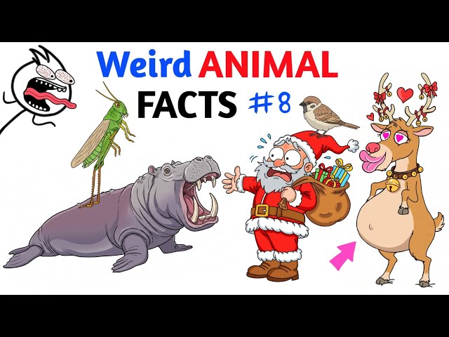 Weird Animal Facts You Never Knew - Part 8