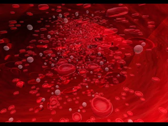 ⏏ Blood Cellular Health