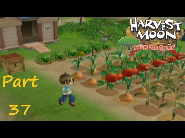 Harvest Moon - Baum der Stille - LP🐮37 - Großernte und weitere Vorbereitung