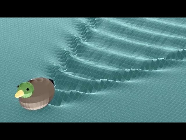 The shapes of waves of ships and ducks