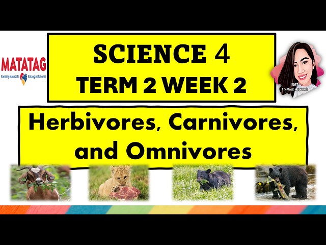 SCIENCE 4 TERM 2 WEEK 2 MATATAG CURRICULUM #science4term2week2 #kmt