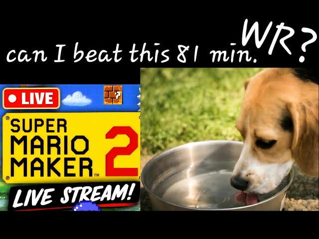 Oh NO!! Trump Jump! SMM2 0% Level Super Mario Maker 2
