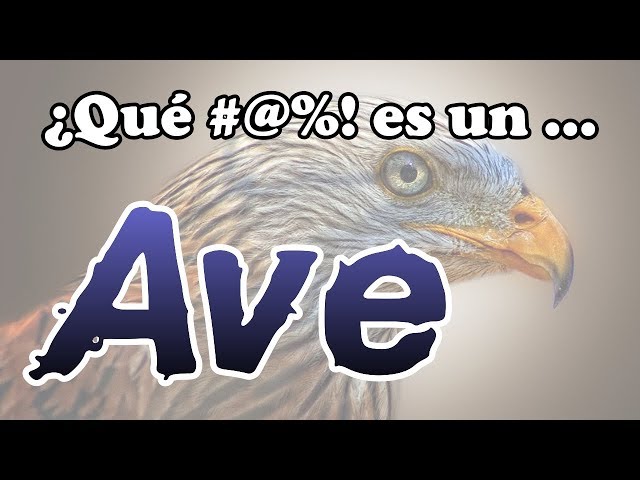 ¿Qué #@%! es un AVE?