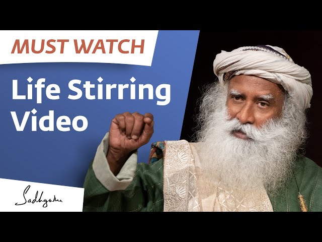 Must Watch - Life Stirring Video!!