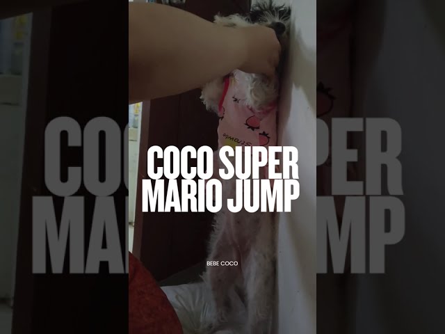 My bebe Coco playing with me all the time.