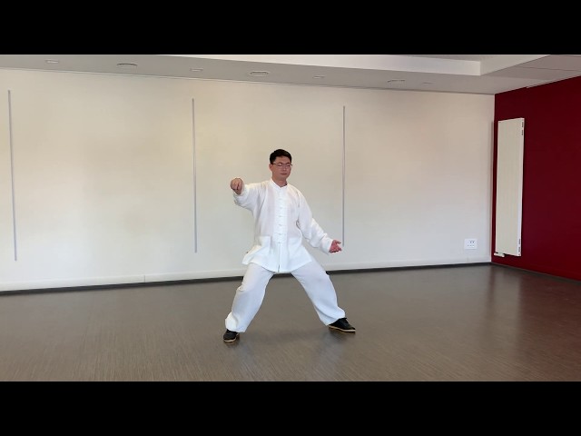 Chen style 74-form (Lao Jia Li Yu), movements 29-47