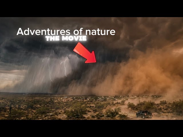 The adventures of nature (official trailer)
