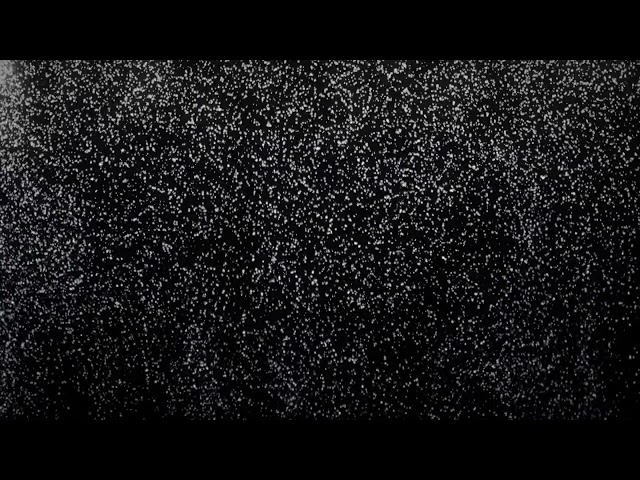 Satisfying Bokeh Animation Loop
