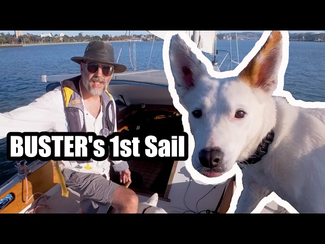 Sailing Solo With My Dog: Buster's First Real Trip