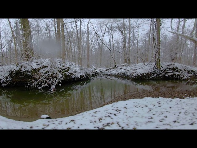 [360] Light Snowfall | Feb 2020