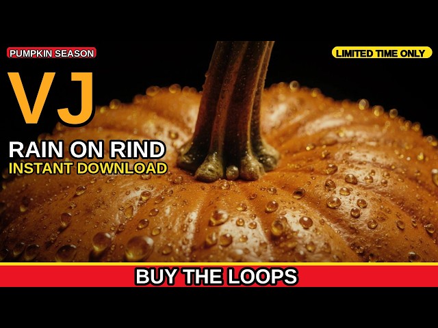 Rain On Pumpkin Rind Pumpkin Season VJ Loop by Chromatomorphosis