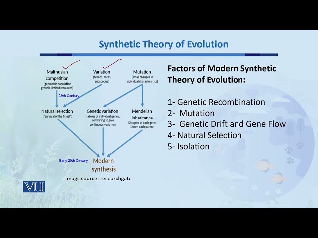 Synthetic Theory of Evolution | Biodiversity & Evolution-II | BT201_Topic155