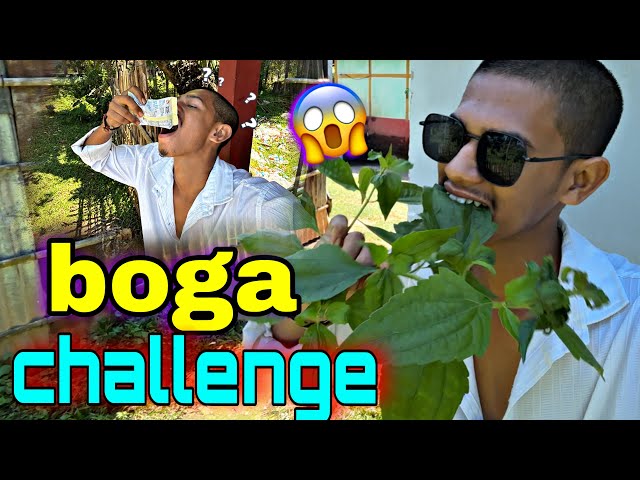 Boga challenge video😱|| New Assamese Funny Video || Bitupan Vlog