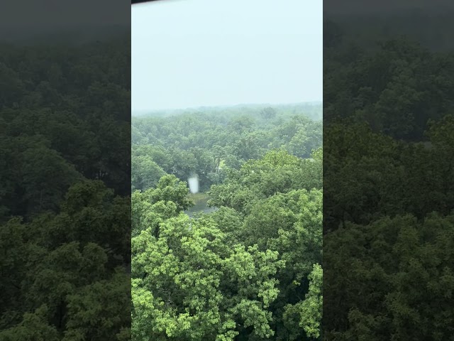 Fire tower overlook #nature