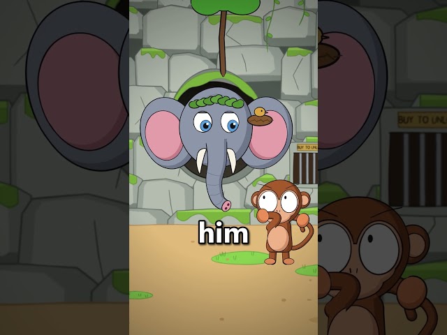 How Long Has Elephant Been In The WALL…  #iamcat #vr #iammonkey