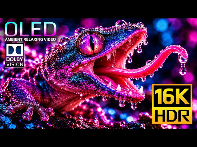 BEST OLED Display Test in 16K Dolby Vision HDR 120fps for 4K • 8K Video Ultra HD TVs