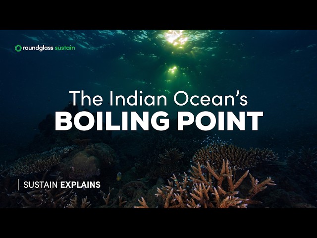 Boiling Point of the Indian Ocean | Marine Heatwaves Ep 1 | Climate Change | @RoundglassSustain