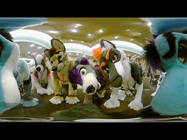 Furry 360 FE 2017 Con highlights