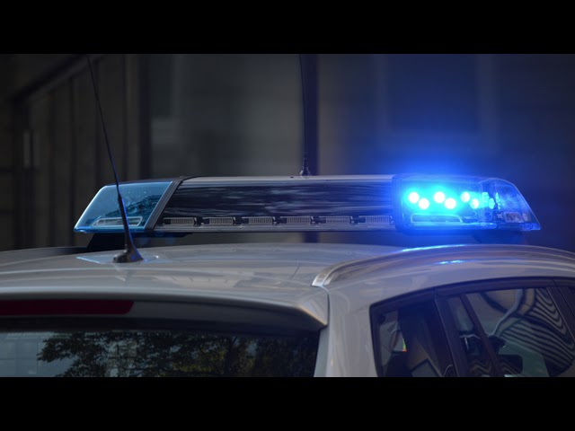 Police Radio Chatter Sound Effect