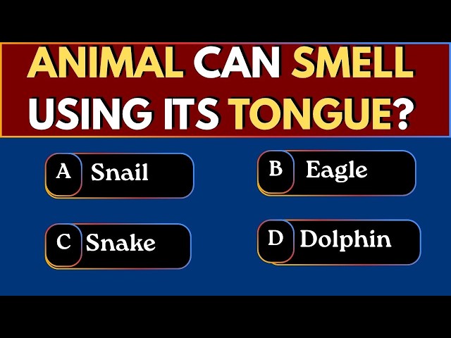 ANIMALS, SCIENCE & SPACE QUIZ! 30 Weird Facts That Sound Fake!