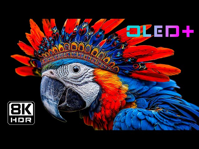 Stunning Nature Display Test | 16K Dolby Vision HDR 120FPS | 8K/4K ULTRA HD TV