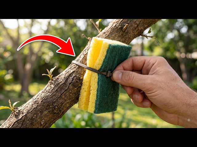 🔥 3 Genius DIY Hacks! Tree Foam Trick, 1-Minute Knife Sharpening & Shocking Battery Experiment!