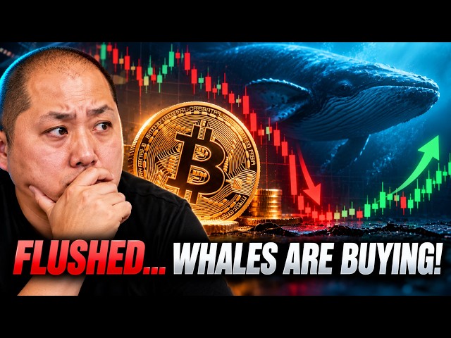 Bitcoin Just Got FLUSHED...But Whales Are Buying
