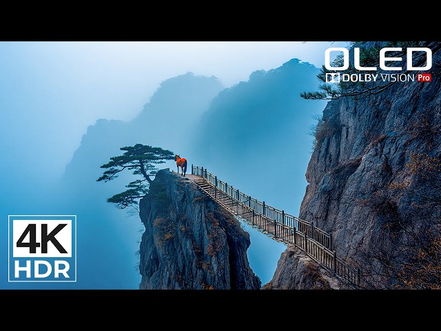 Colors So Real, You'll Forget It's a Screen | 4K HDR Dolby Vision 60FPS