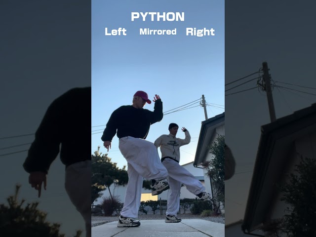 "PYTHON"GOT7Dance challenge Mirrored Tutorial ＃shorts