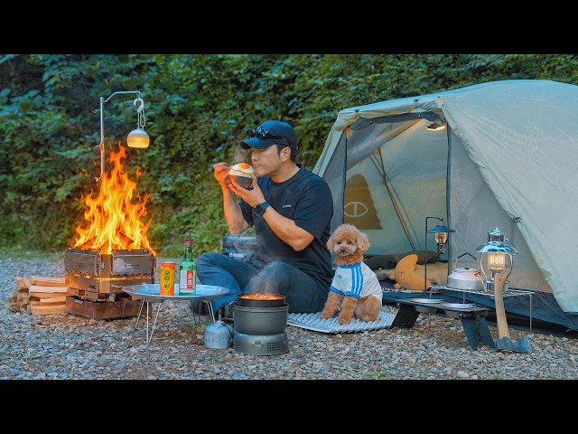 Camping in Forest with My Dog . Korean Kimchi Jjigae . Wood Stove ASMR