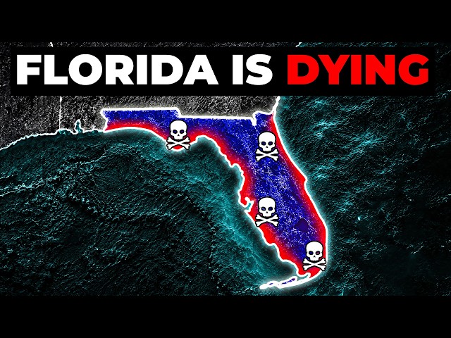 Florida’s Coast Is Hiding Something Nobody Talks