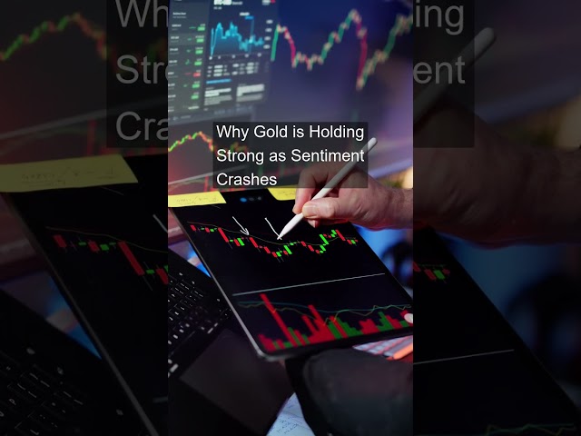 Why Gold is Holding Strong as Sentiment Crashes