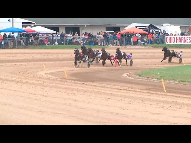 81st annual Little Brown Jug brings thousands to Delaware County