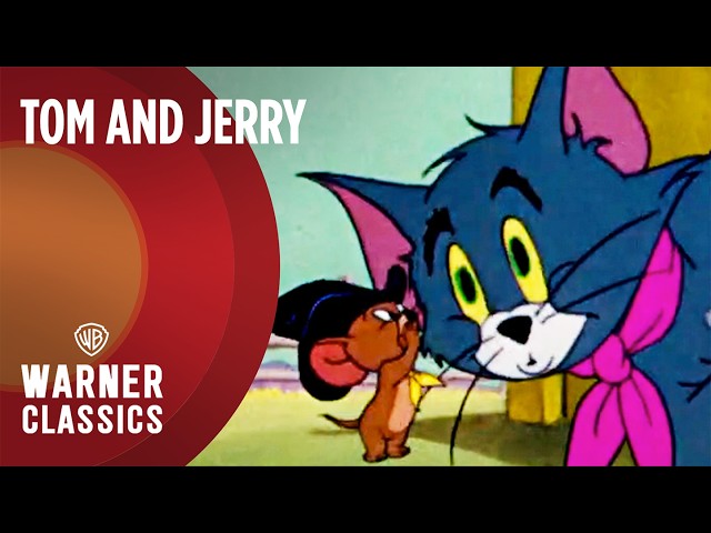Tom and Jerry | Mega Compilation | Vol. 42 | Warner Classics