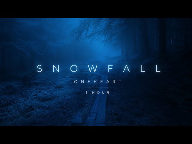 Dark Forest Ambience — 1 Hour Snowfall Loop for Introvert Recharge | Øneheart