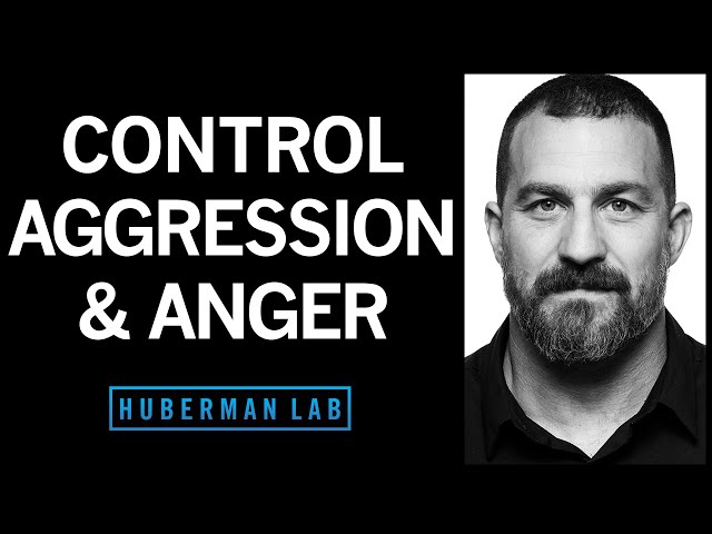Understanding & Controlling Anger & Aggression