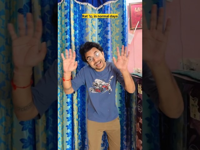 Rats in normal days v/s Ganesh chaturthi 🐀🤣#comedy #funny #shorts #ganeshchaturthi
