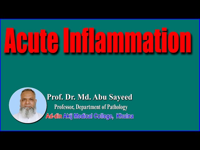 Acute Inflammation  II Prof.Md Abu Sayeed Sir II