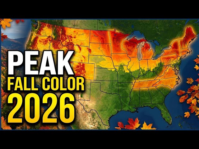 🍁 2026 Fall Foliage Forecast: Peak Color Dates in the USA