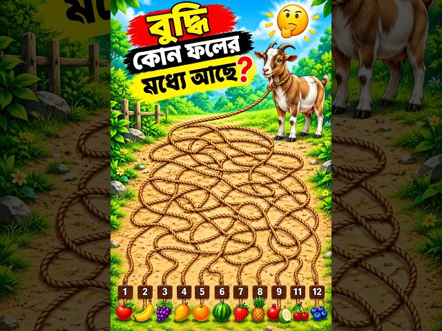 🐐 ছাগলটি কোন নম্বরে বাঁধা আছে? 😱🧠 | বুদ্ধির খেলা 🔥 #shorts🐐🧠 ছাগলটি কোন নম্বরে বাঁধা আছে? 🤔