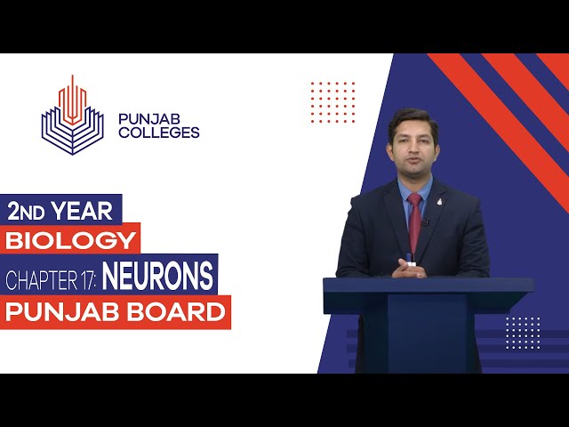 PGC Lectures-Inter Part II-Punjab Board-Biology-Chapter 17 - Neurons