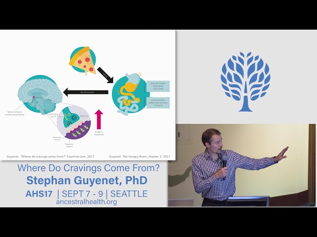 AHS17 Where do cravings come from? - Stephan Guyenet
