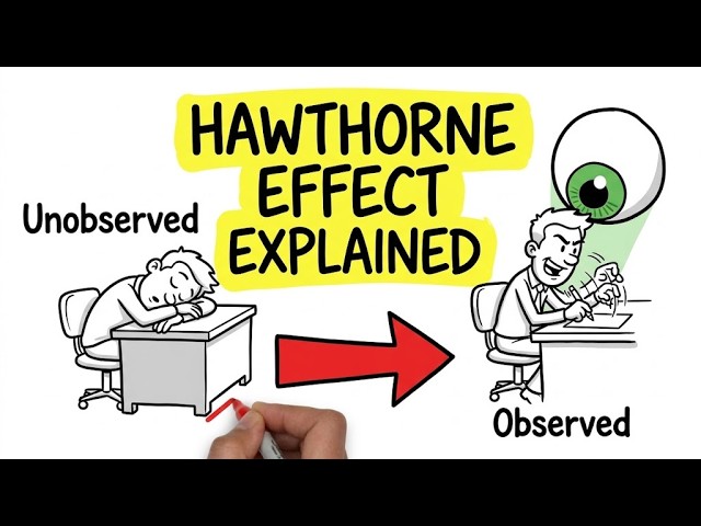 Hawthorne Effect Explained: The Psychology Experiment That Changes Behavior
