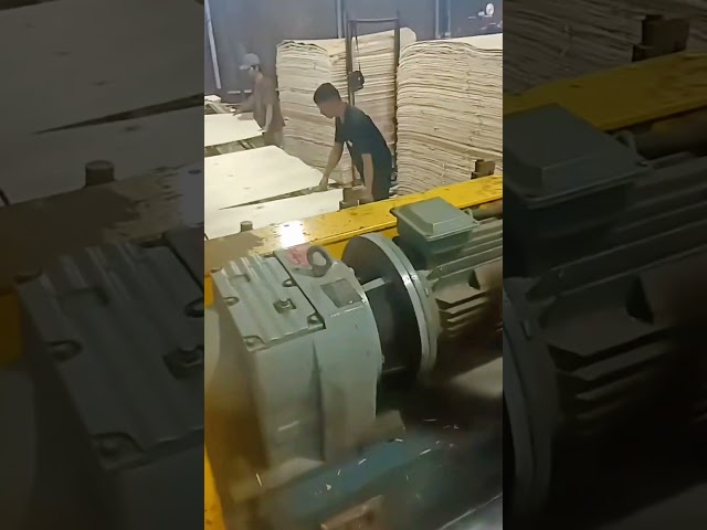 Wood Peeling Machine 1