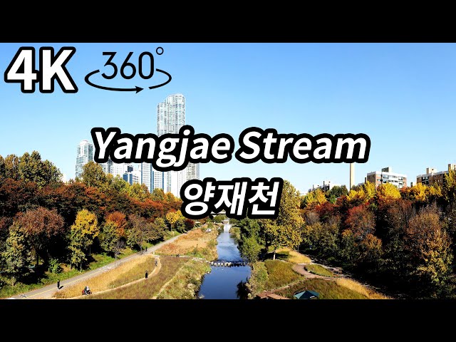 [4K] Ep.198 | Road View 2.0 : 서울시 미래유산으로 선정된, 양재천 둘러보기 | 대모산입구역 | 개포동역 | 타워팰리스 | Yangjae Stream