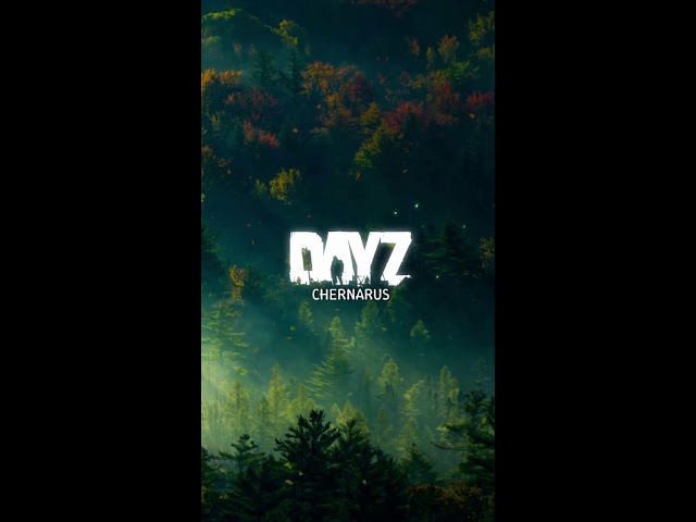 PvP w/ NEW Weapon Only Solo Challenge - DayZ 1440p (Portrait)