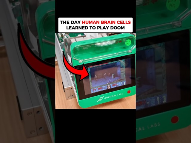 The day human brain cells learned to play Doom