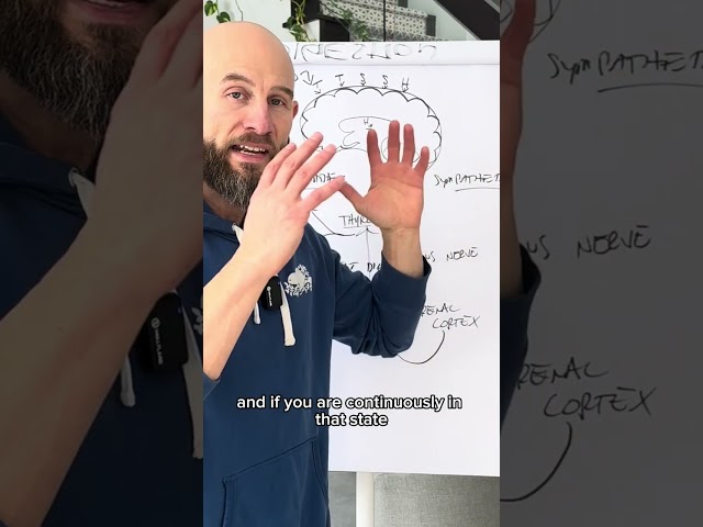 How to Biohack Your Hormones