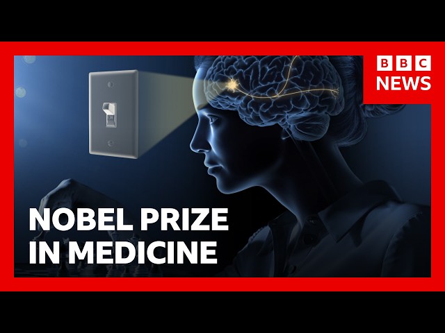 Nobel Prize awarded for revealing inner workings of the brain | BBC News