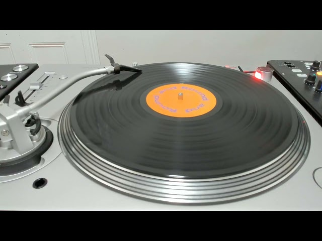 Fruit of Love (Techno vocal version) - Transformer 2 (with Asli) (1992) - Vinyl
